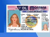 Montana drivers license Edit