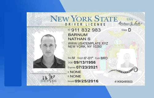 NY drivers license Edit