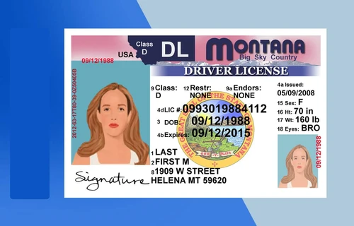 Montana drivers license Edit